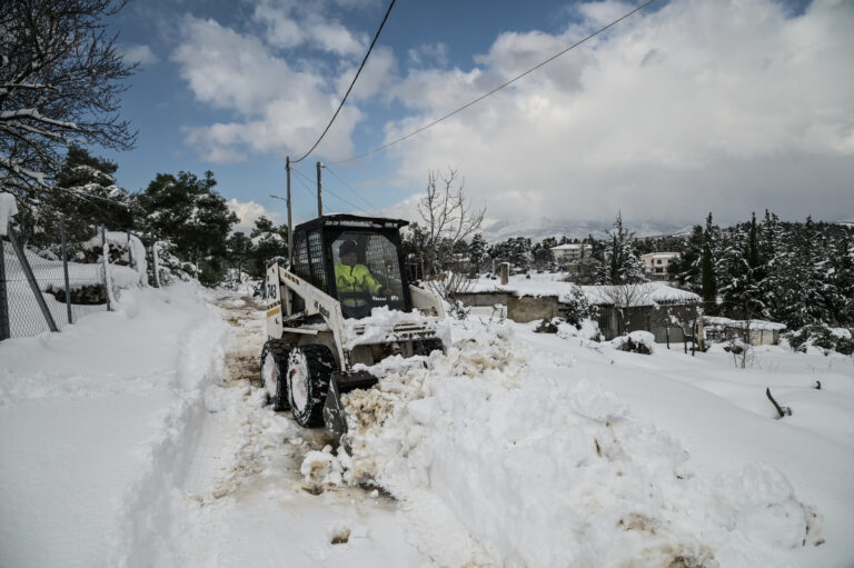 ΚΑΚΟΚΑΙΡΙΑ "ΜΠΑΡΜΠΑΡΑ" ΧΙΟΝΙΑ ΣΤΗ ΡΟΔΟΠΟΛΗ ΤΟΥ ΔΗΜΟΥ ΔΙΟΝΥΣΟΥ (ΜΙΧΑΛΗΣ ΚΑΡΑΓΙΑΝΝΗΣ/eurokinissi)